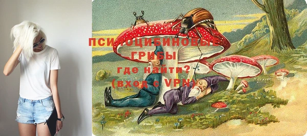 твердый Струнино