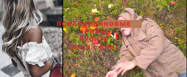 крисы Ступино