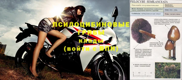 твердый Струнино