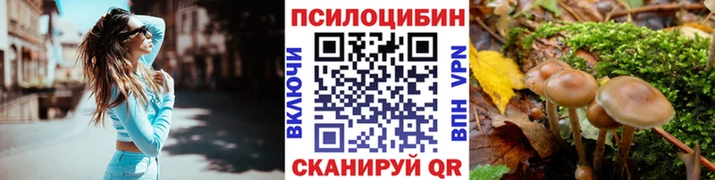 Купить  Ильский  Псилоцибиновые грибы прущие грибы 